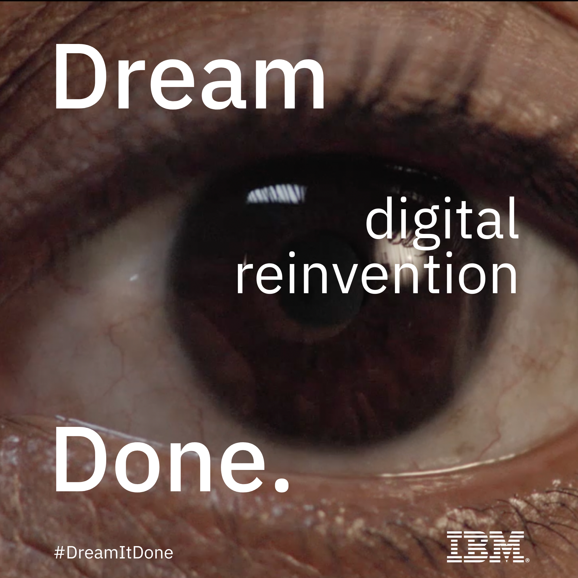 Now Viewing: IBM Dream It Done